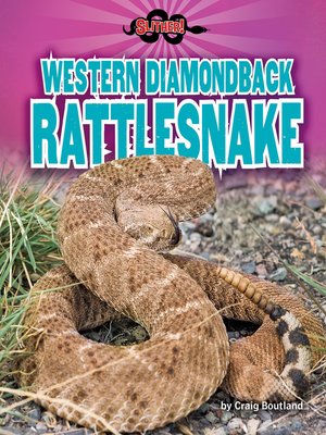 cover image of Western Diamondback Rattlesnake